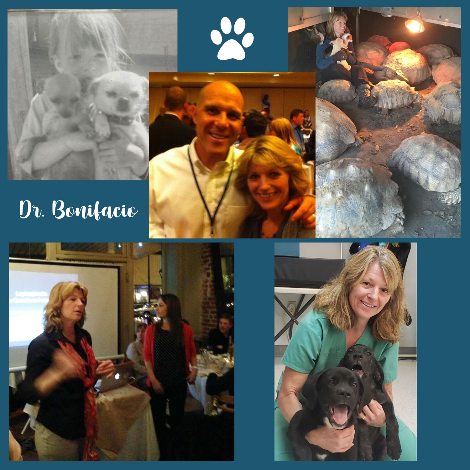 Waterford deals pet hospital