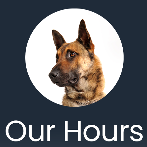 Our Hours Icon