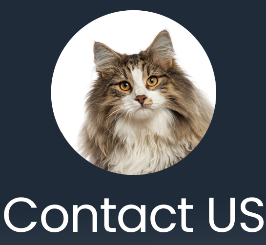 Contact Us Icon