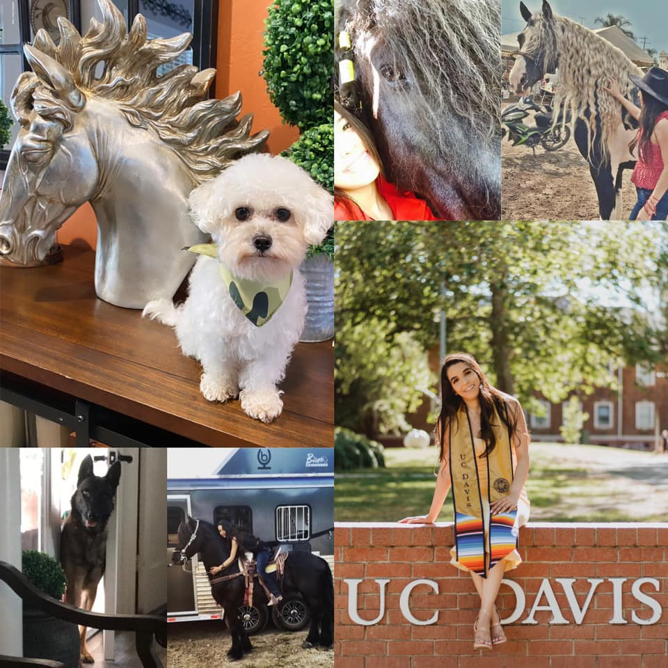Saira picture collage Saira picture collage